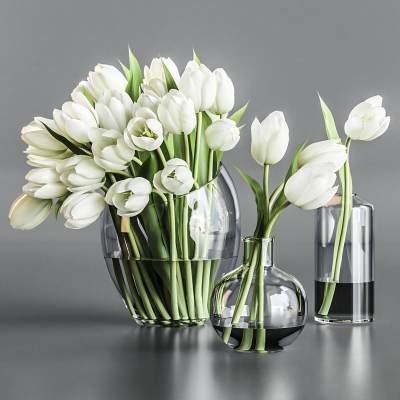 郁金香花